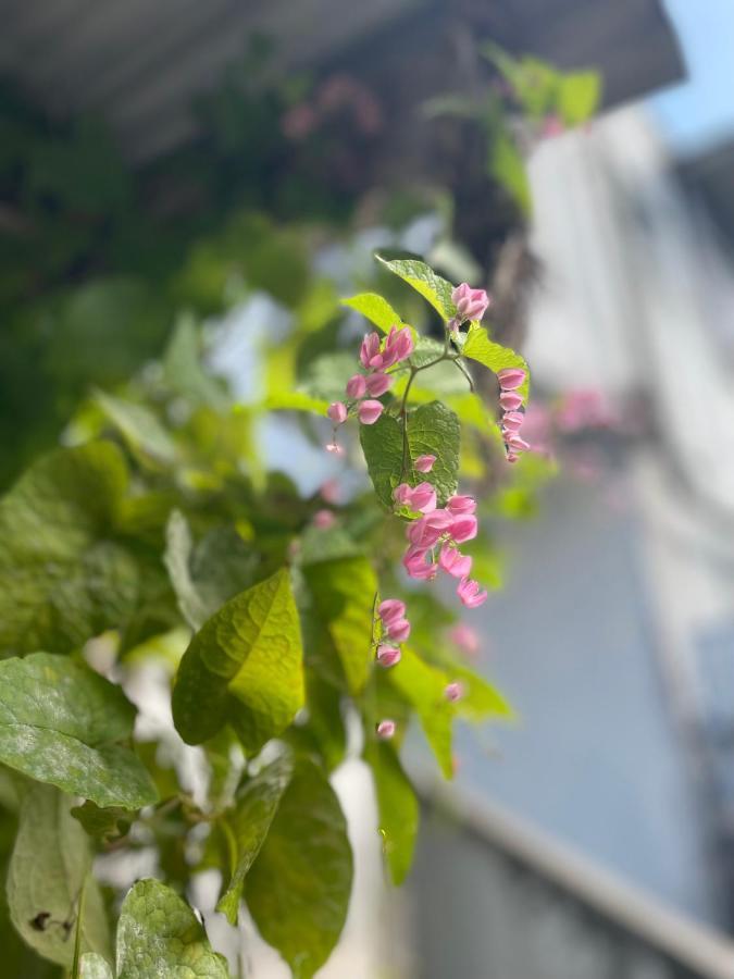 月光荘沖縄 Hotell Naha Eksteriør bilde